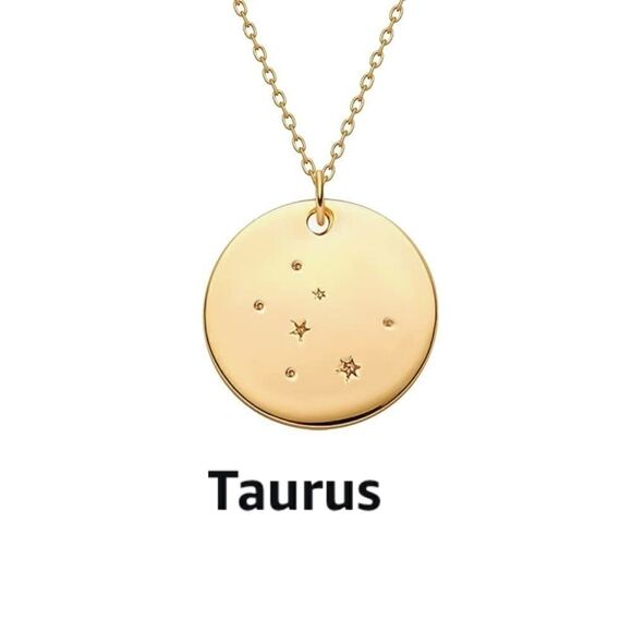 Scorpio Zodiac Sign Disc Constellation Necklace - Picture 6 of 8